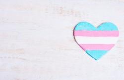 Transgender flag in a heart