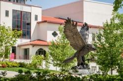 Photo of the Red Hawk statue.
