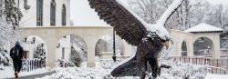 Picture of the Campus Red Hawk statue covered in snow.